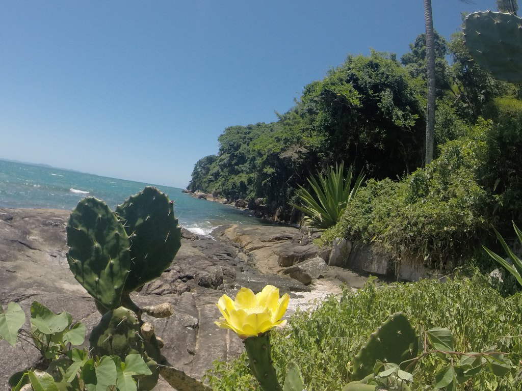 ilha do frances floripa 8 1024x768 - Passeio de Lancha na ilha do Francês