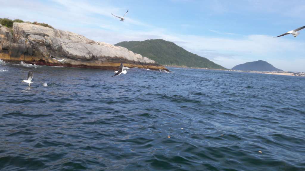 20160625 141620 - Pescaria embarcada em Florianópolis na Ilha Mata Fome