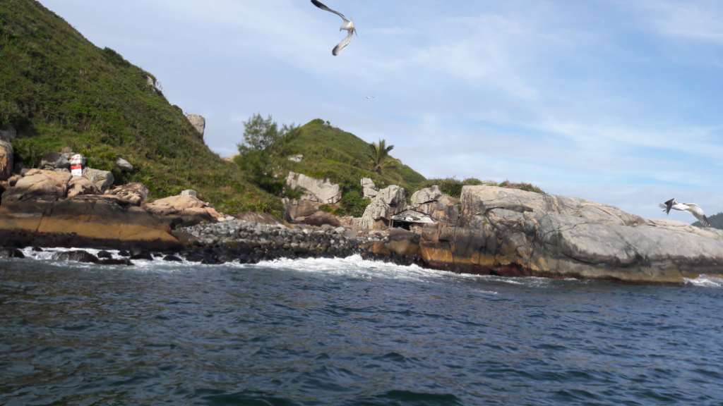 20160625 141627 - Pescaria embarcada em Florianópolis na Ilha Mata Fome