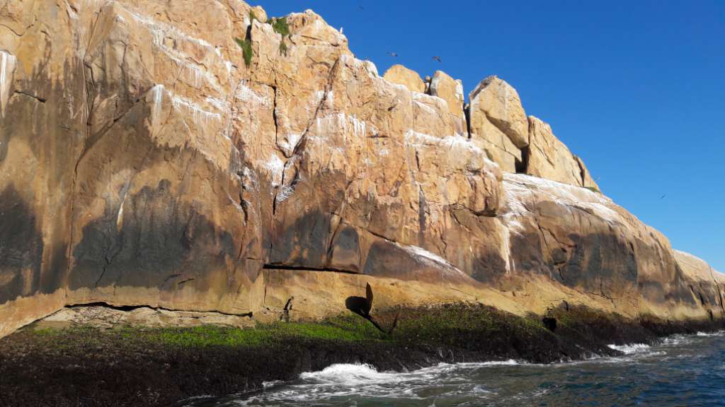 Pesca embarcada em Florianópolis