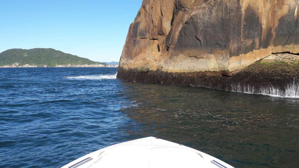 20160727 092905 - Pescaria embarcada em Florianópolis na Ilha do Badejo