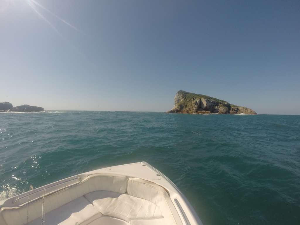 GOPR2797 - Pescaria embarcada em Florianópolis na Ilha do Badejo