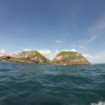 ilha mata fome 150x150 - Pescaria embarcada em Florianópolis